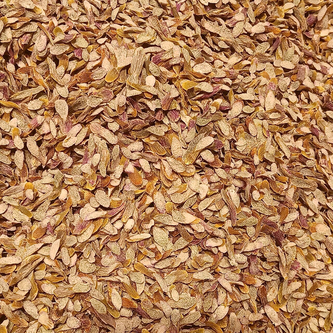 石斛切片与规格展示