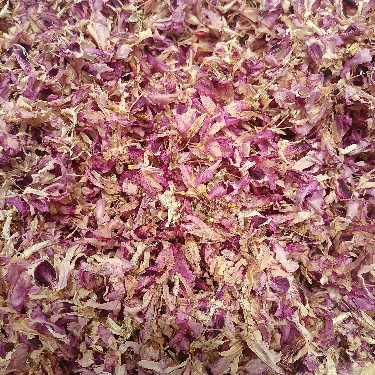 石斛花与国际合作展示场景